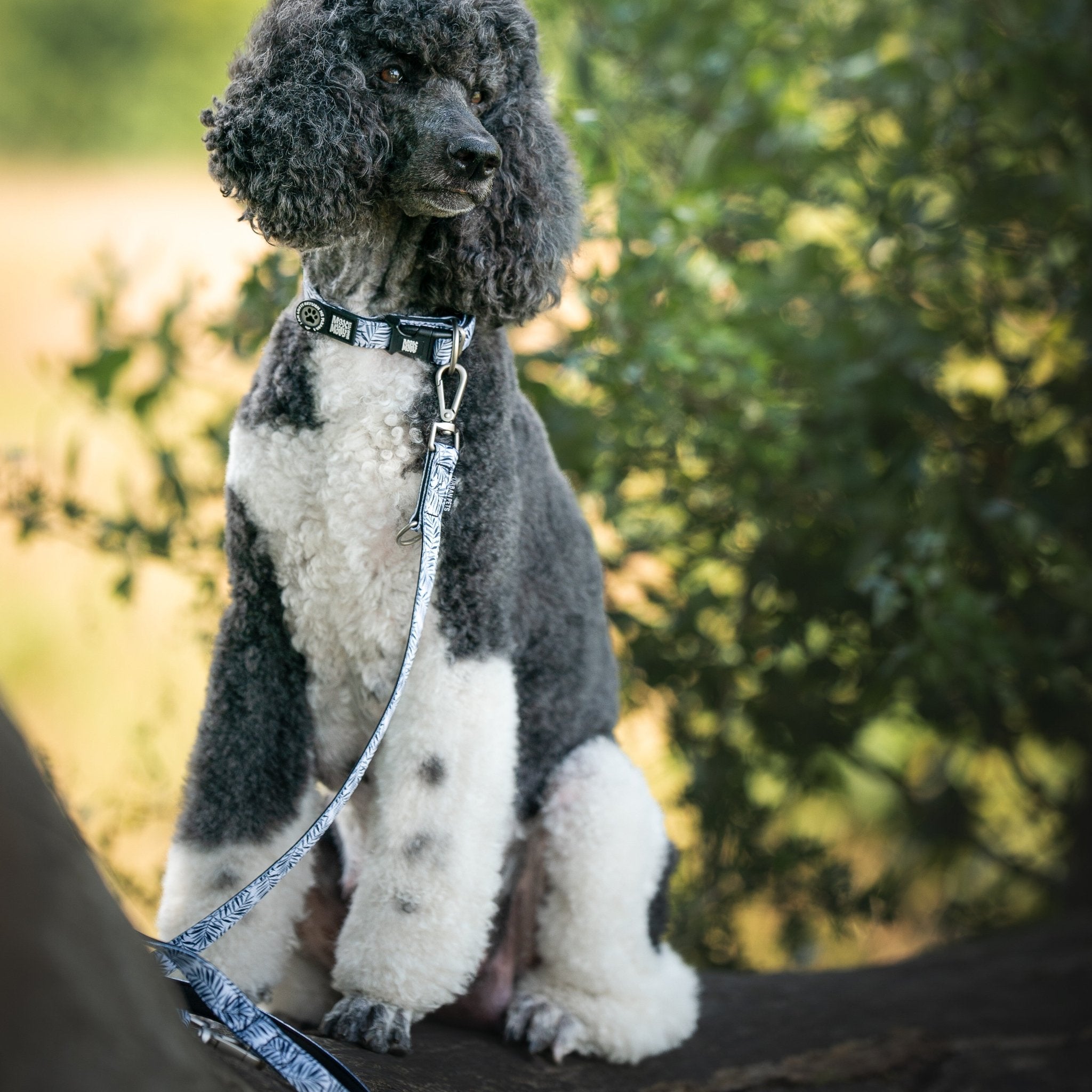 Multifunktionsleine - Garden