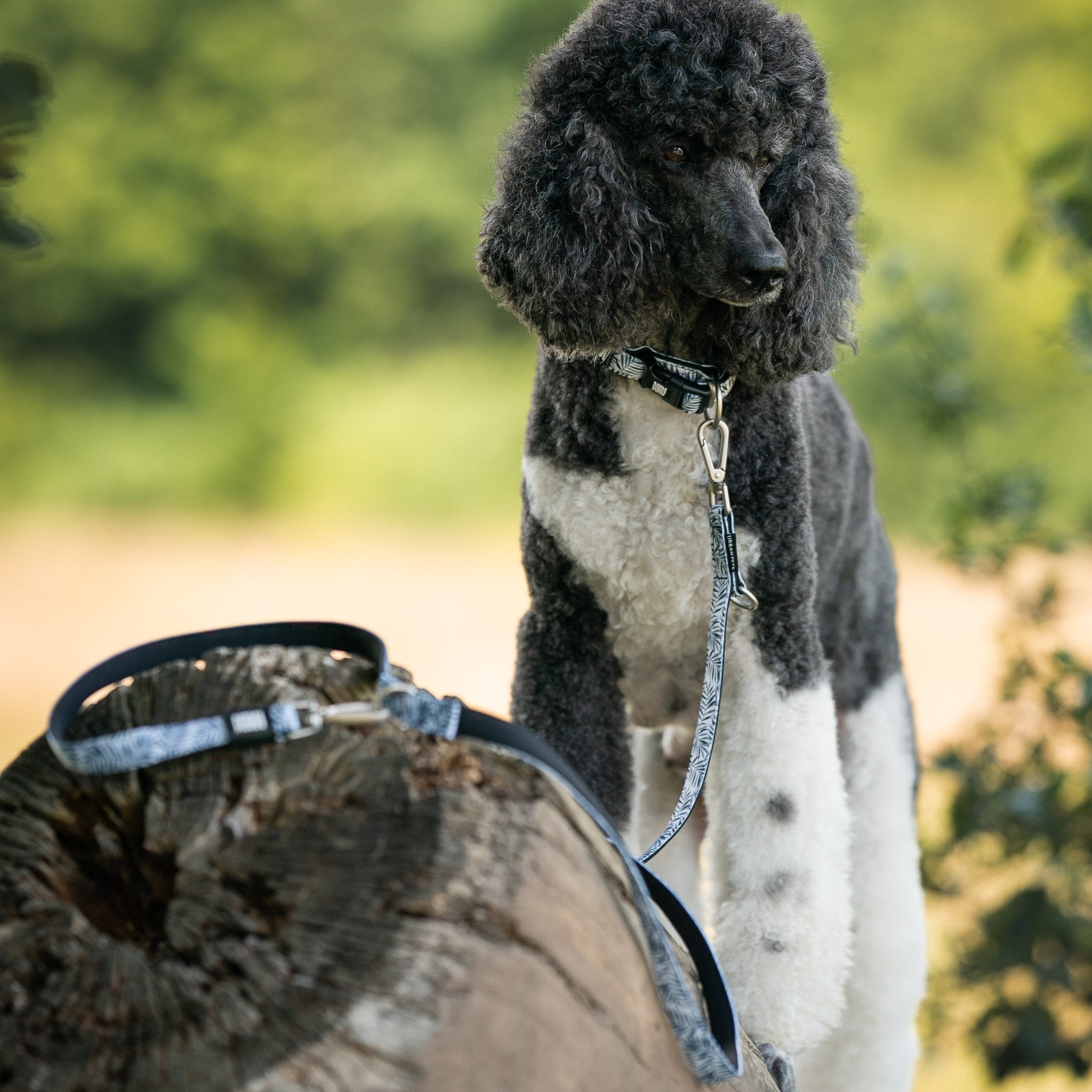 Multifunktionsleine - Garden