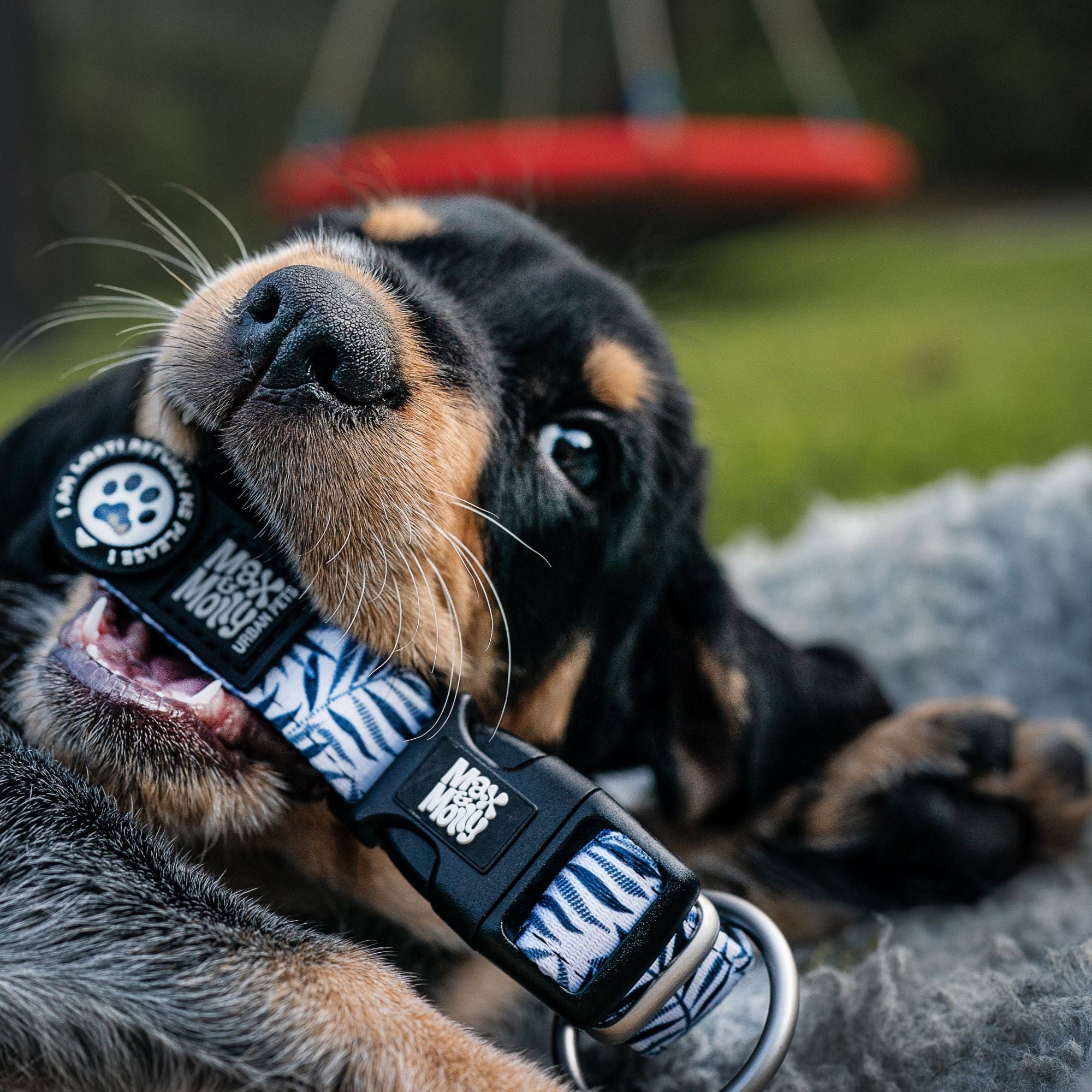 GOTCHA! Smart ID Collar - Garden