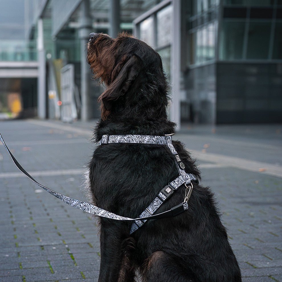 Multi Function Leash - Garden