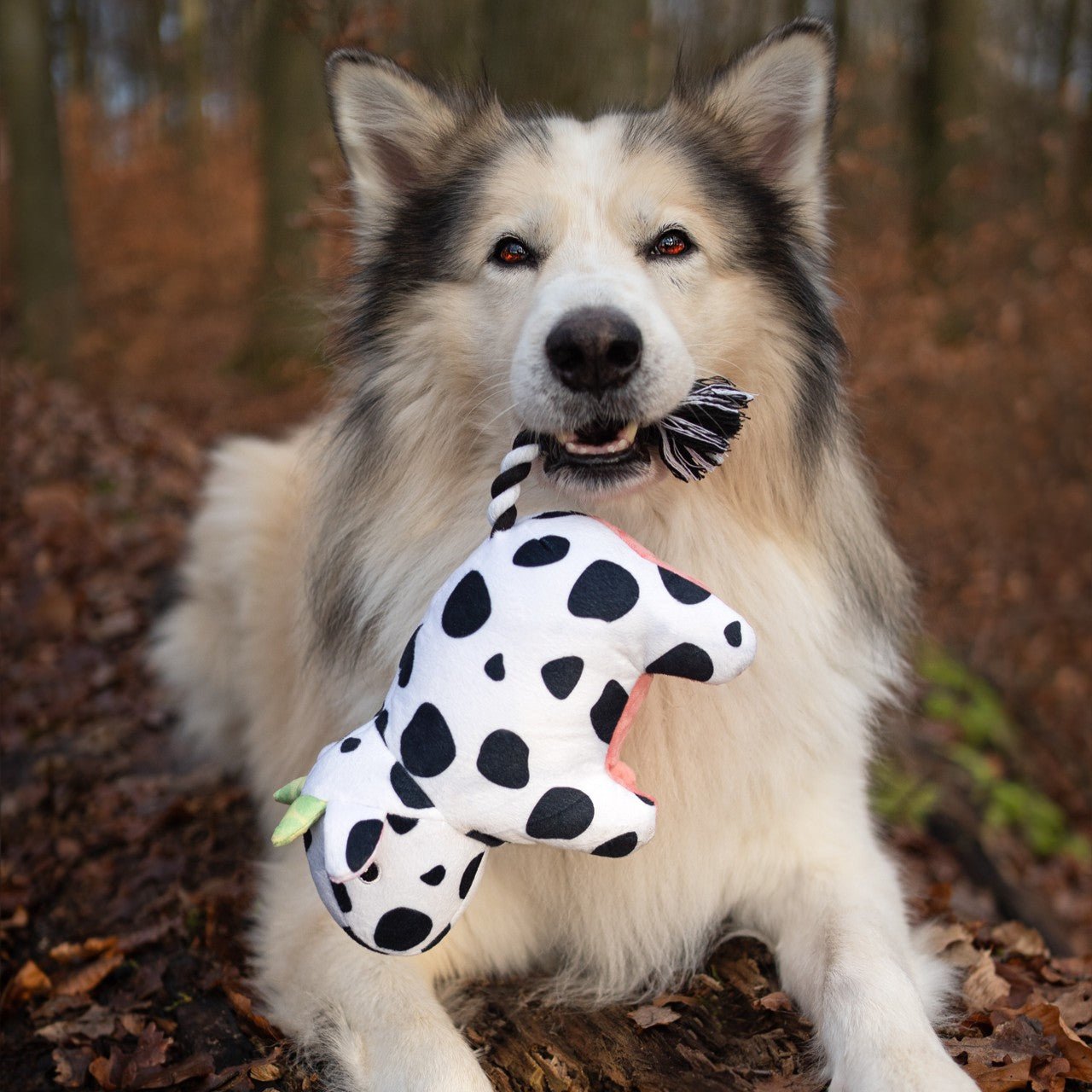 Huggles Toy - Cow Claire