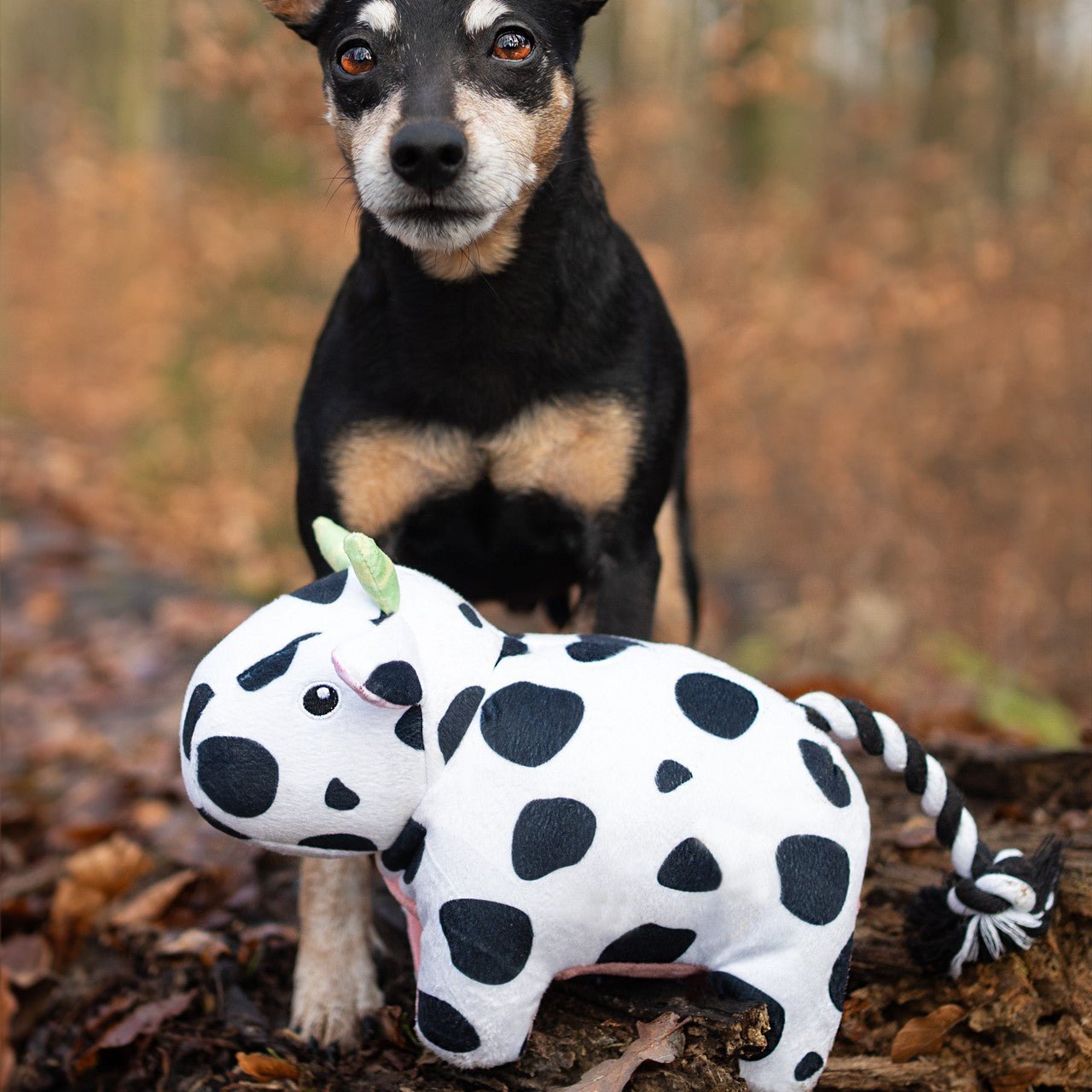 Huggles Toy - Cow Claire