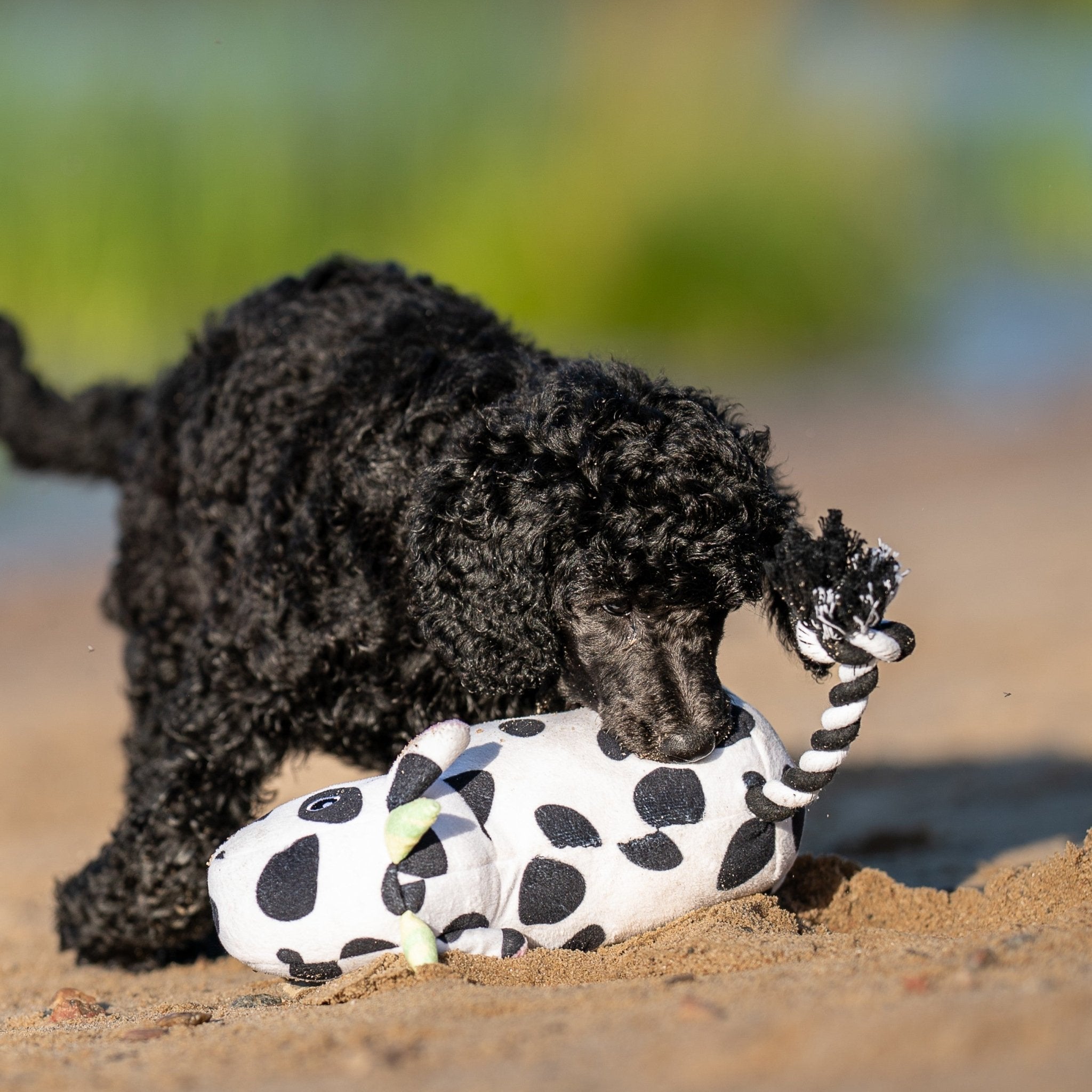 Huggles Toy - Cow Claire