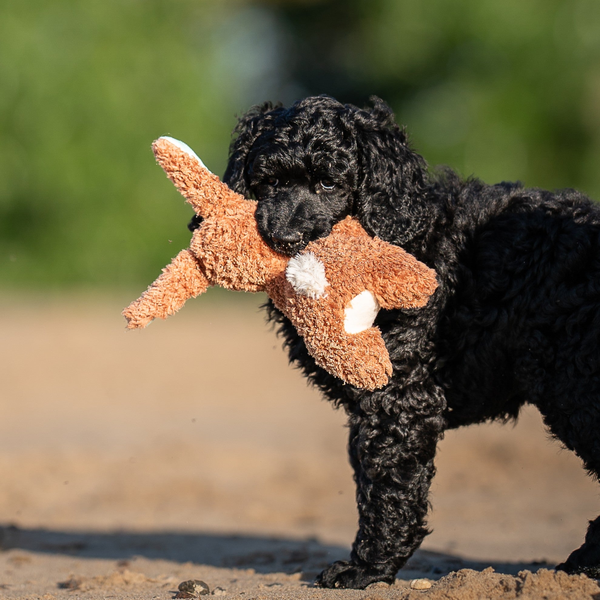 Huggles Toy - Rabbit Lotta