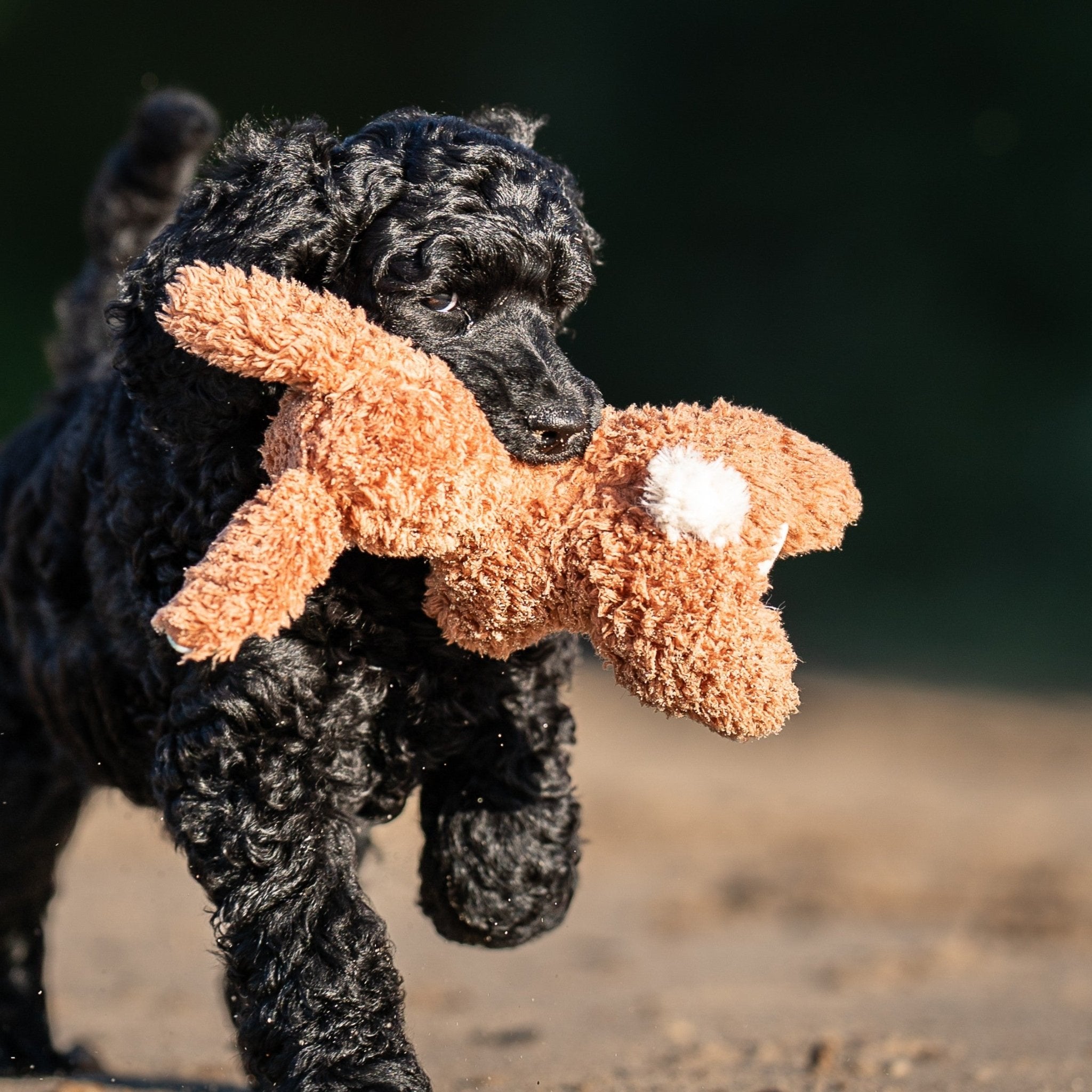 Huggles Toy - Rabbit Lotta