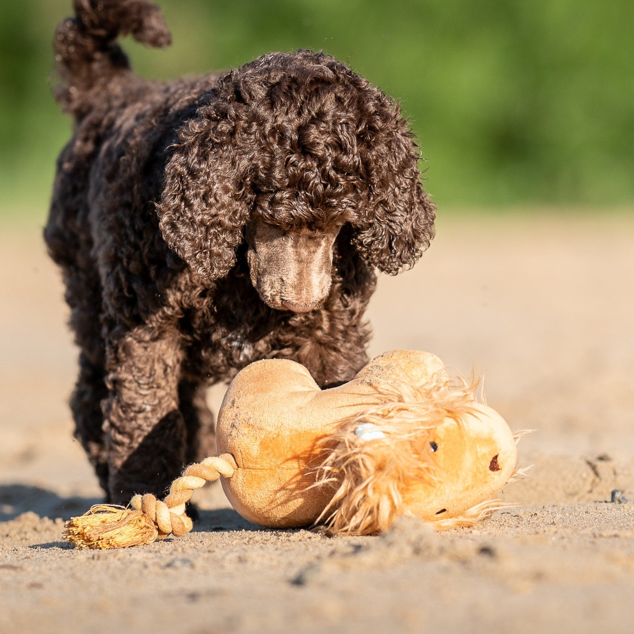 Huggles Toy - Lion George