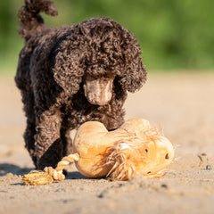 Huggles Toy - Lion George