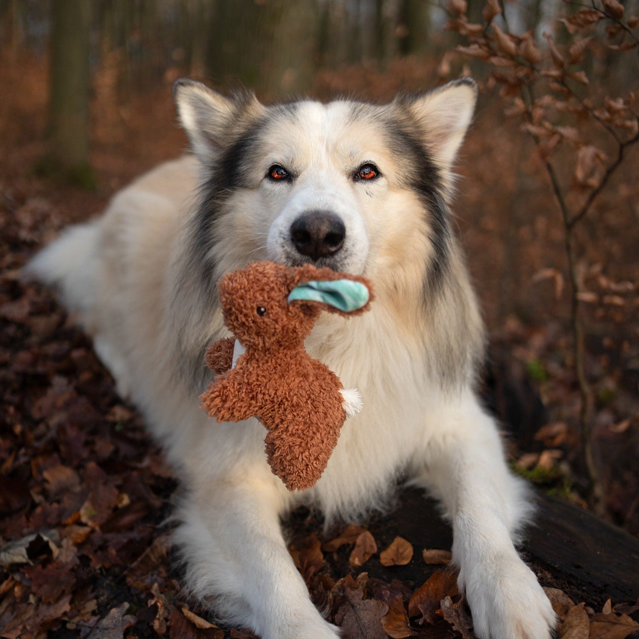 Huggles Toy - Rabbit Lotta