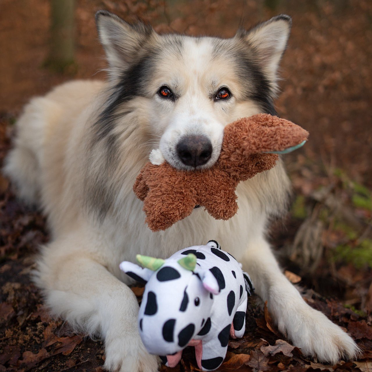 Huggles Toy - Rabbit Lotta