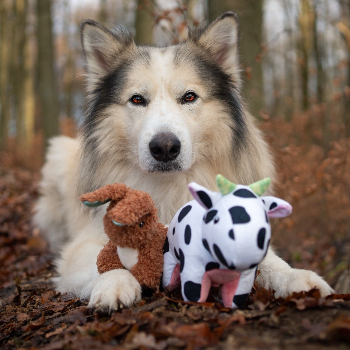 Huggles Toy - Rabbit Lotta