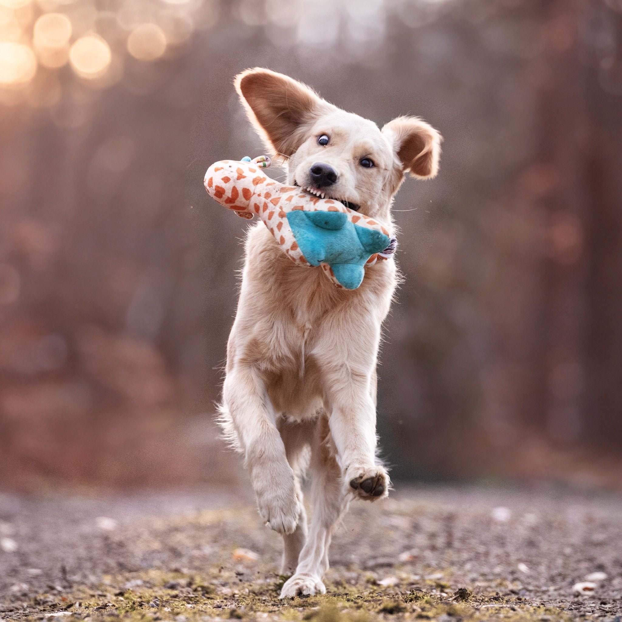 Huggles Toy - Giraffe Jerry