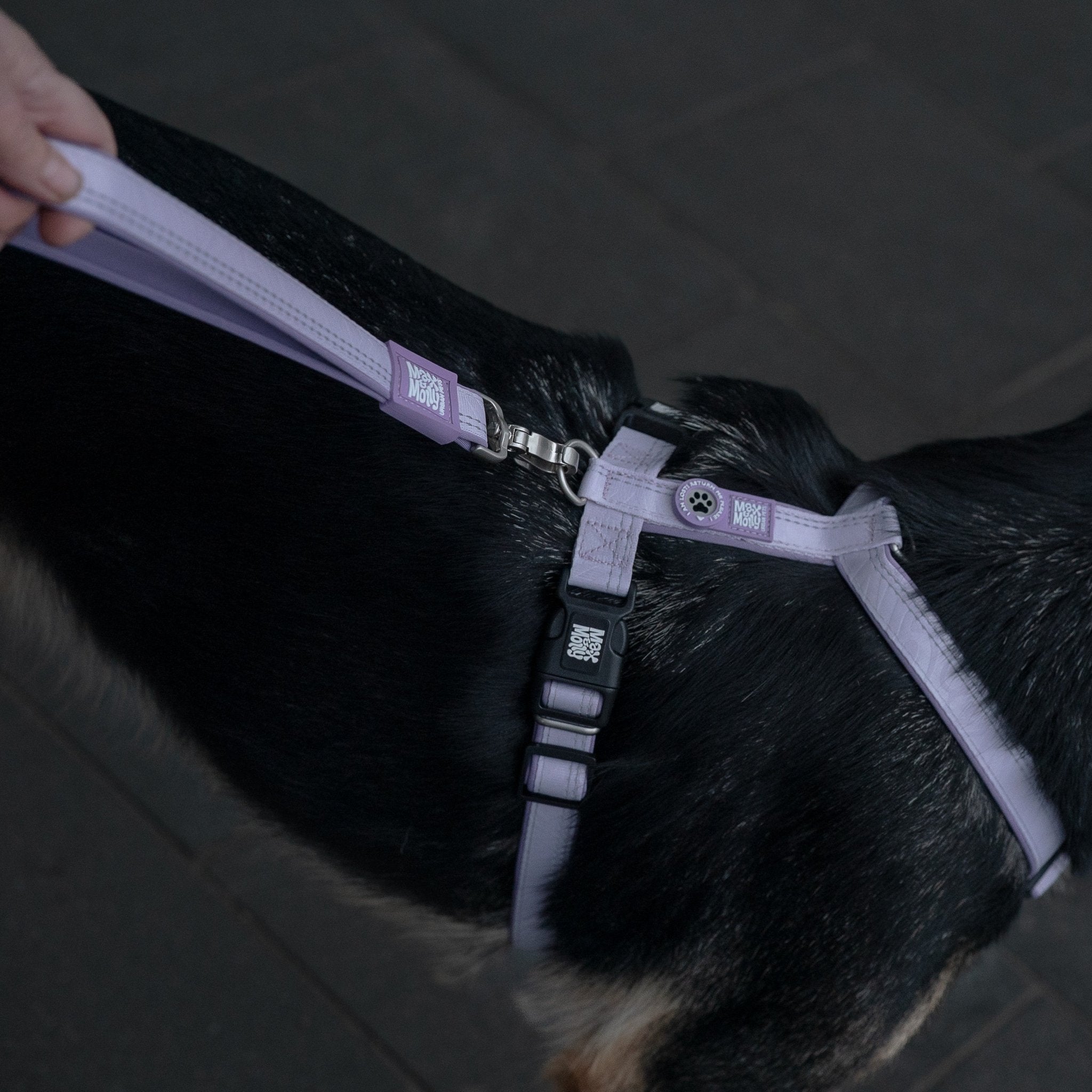 Handle Leash - Matrix 2.0 Lavender