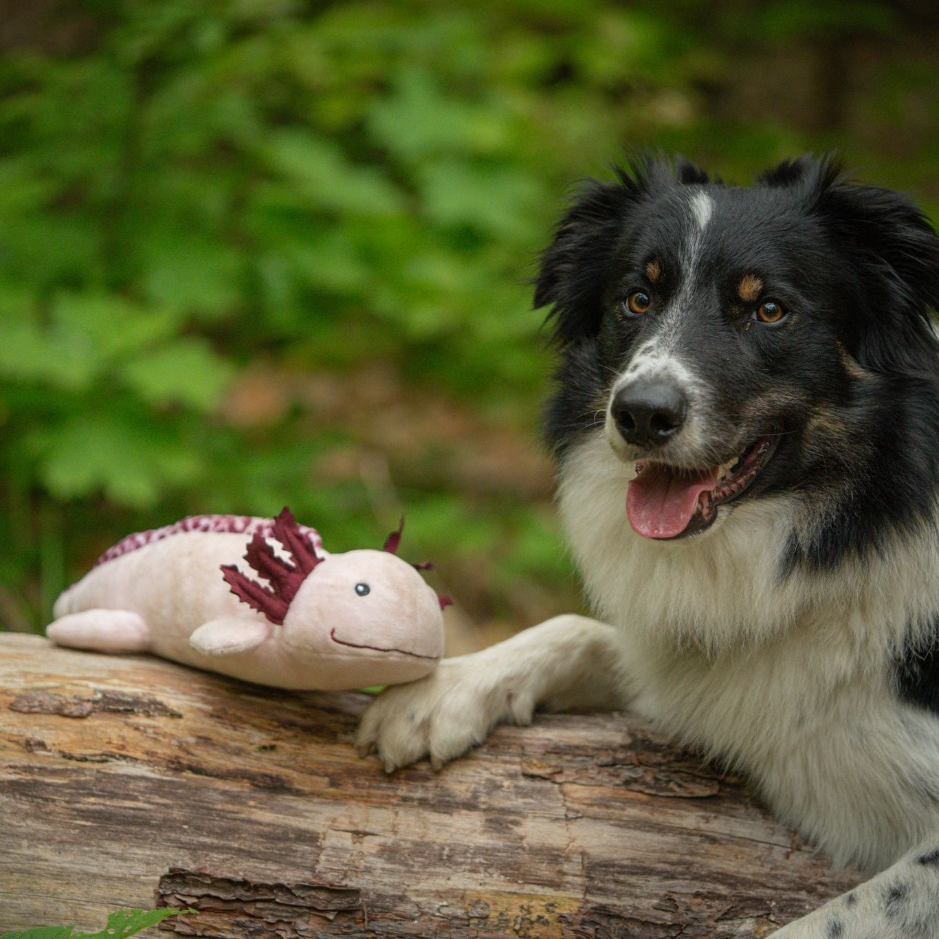 Huggles Toy - Axolotl Axel