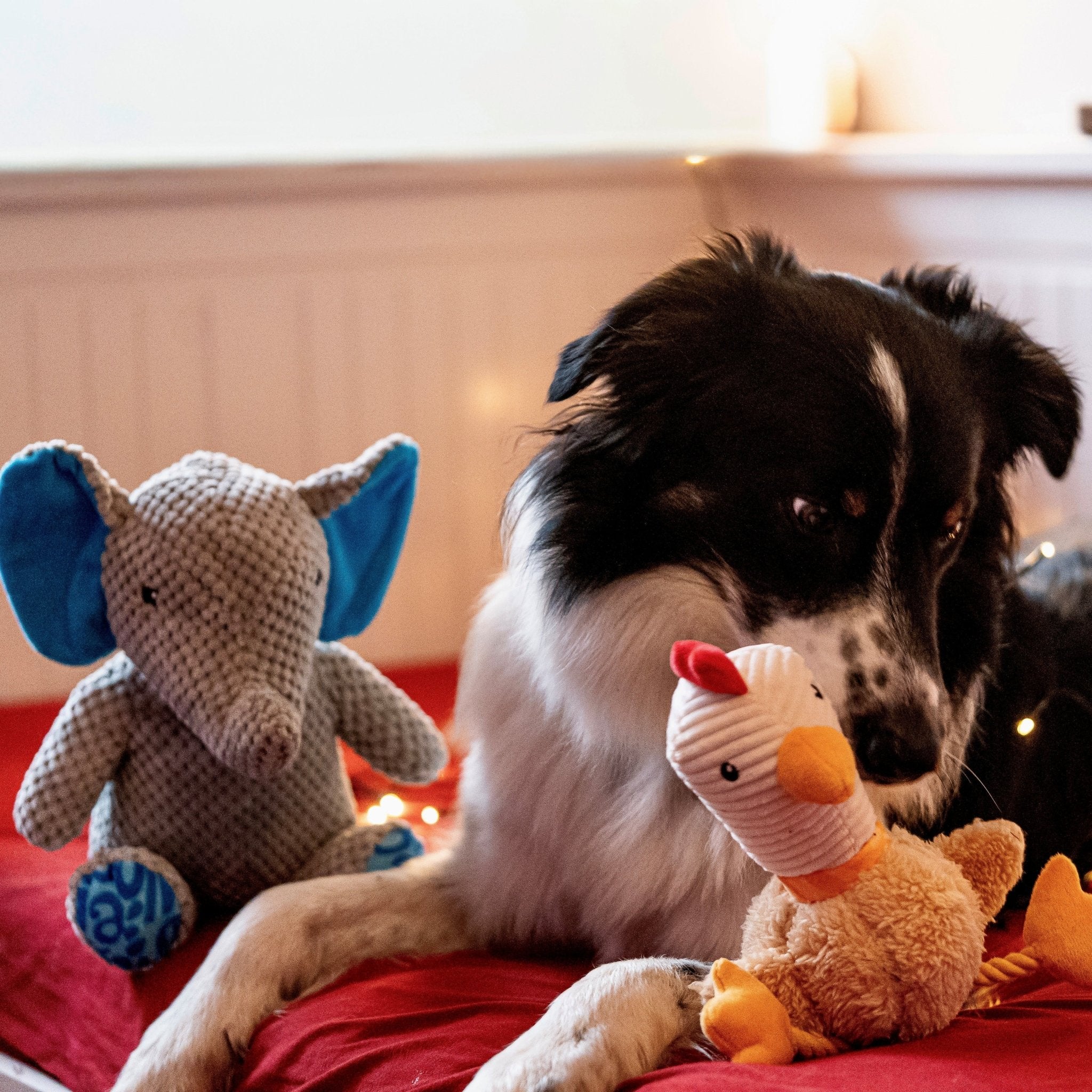 Huggles Toy - Elephant Susi