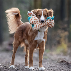 Huggles Toy - Giraffe Jerry