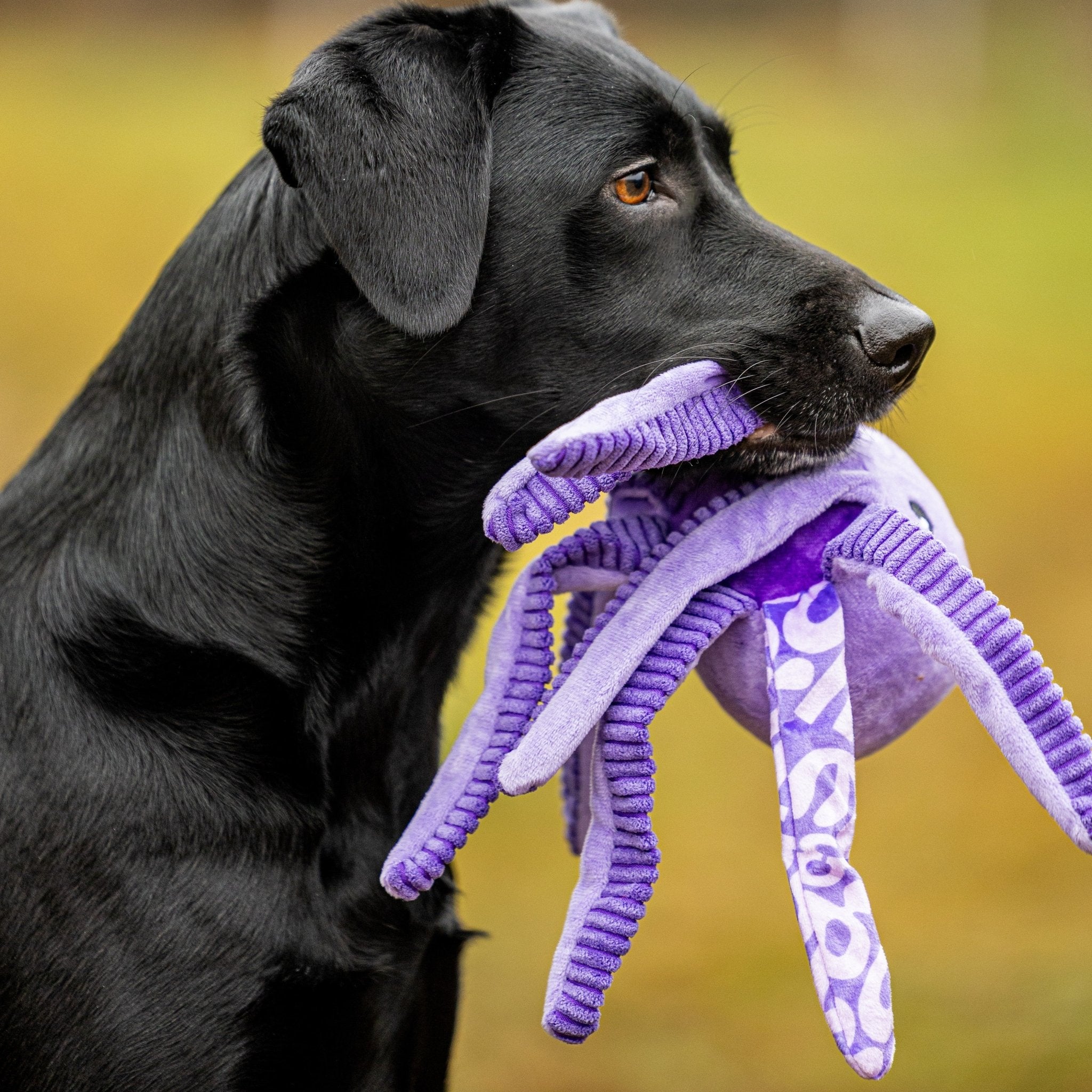 Huggles Toy - Octopus Leila