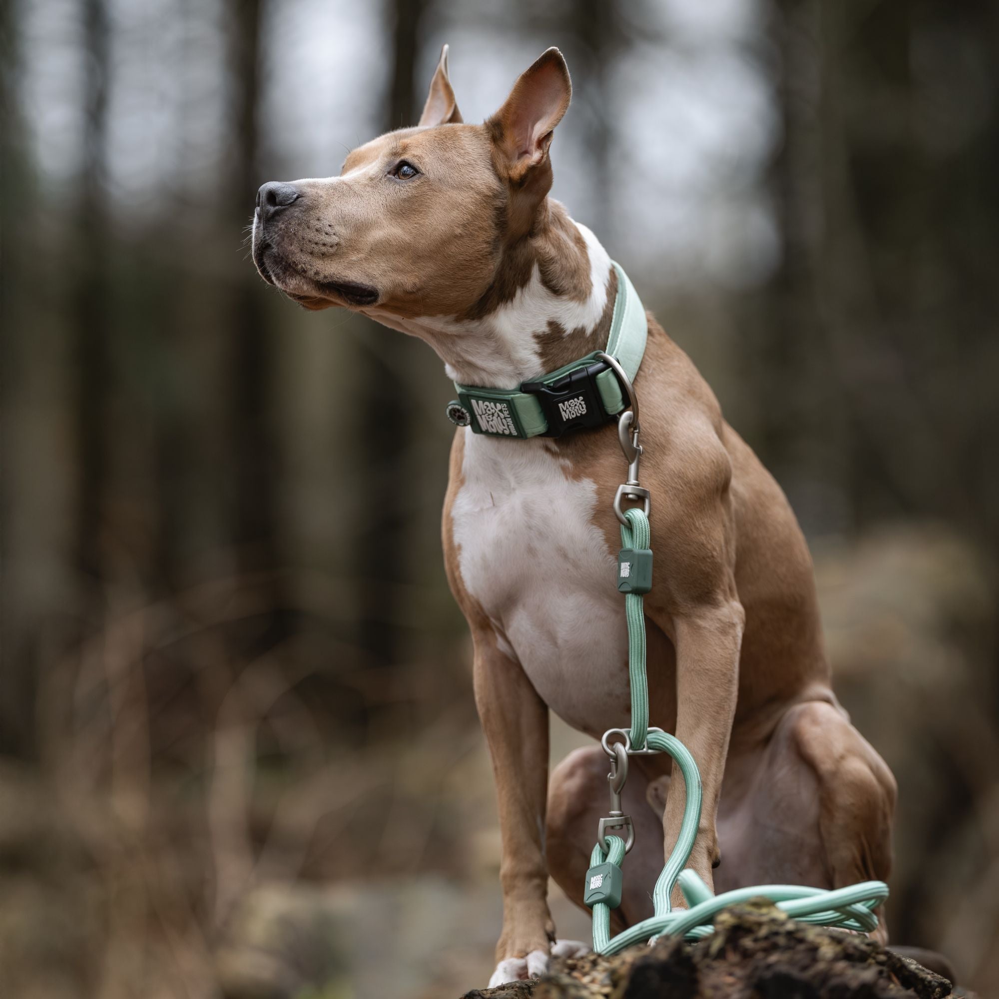 Smart ID Wide Collar - Matrix 2.0 Jade