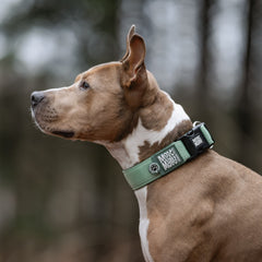 Smart ID Wide Collar - Matrix 2.0 Jade