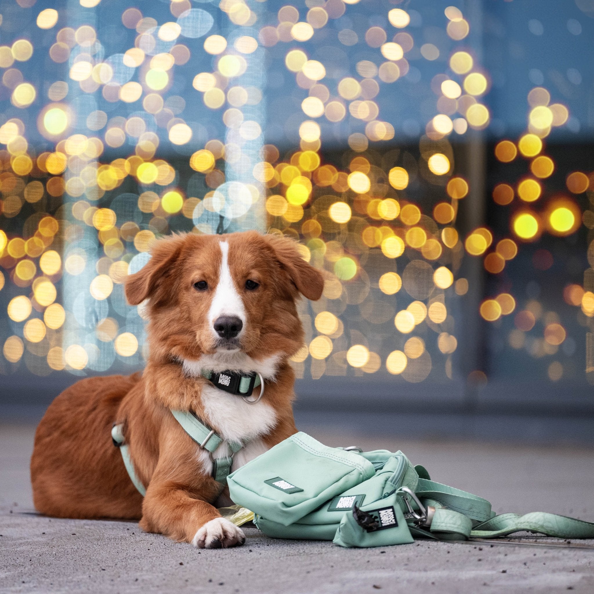 Poo Bag Dispenser for dogs - Matrix 2.0 Jade