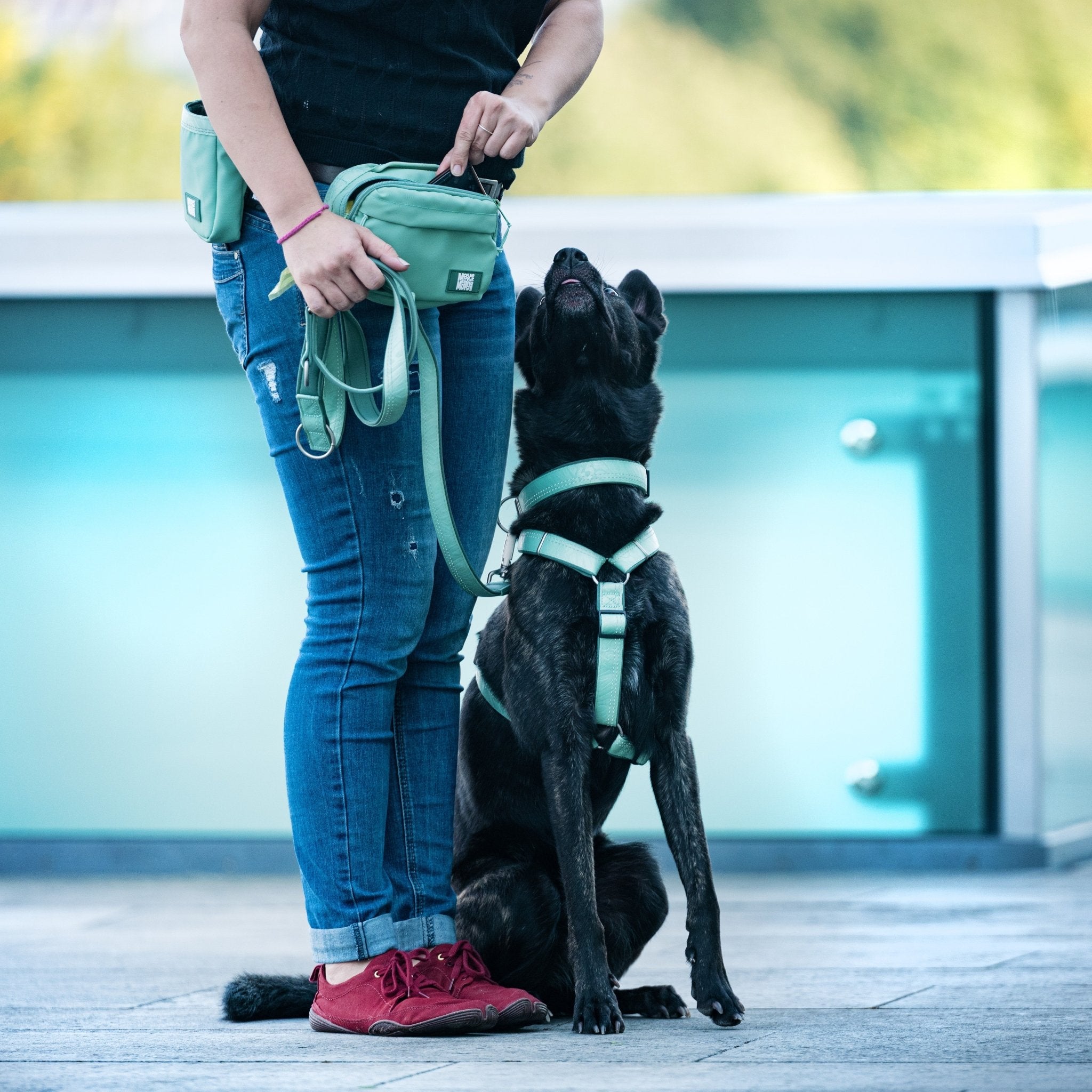 Multifunctional Leash - Matrix 2.0 Jade