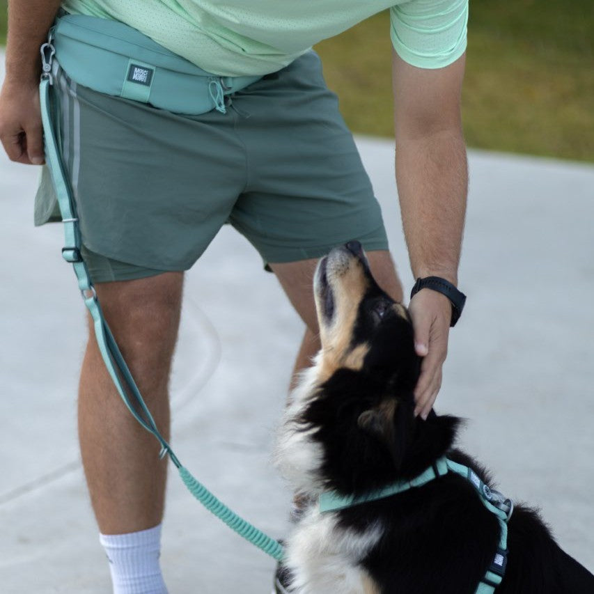 Jogging Leash with Waist Bag -  Matrix 2.0 Jade