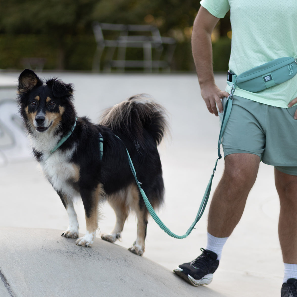 Jogging Leash with Waist Bag -  Matrix 2.0 Rose