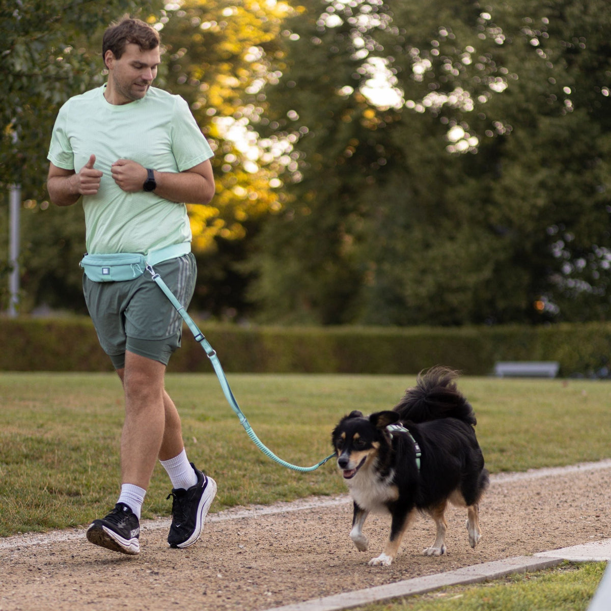 Joggingleine mit Gürteltasche - Matrix 2.0 Jade