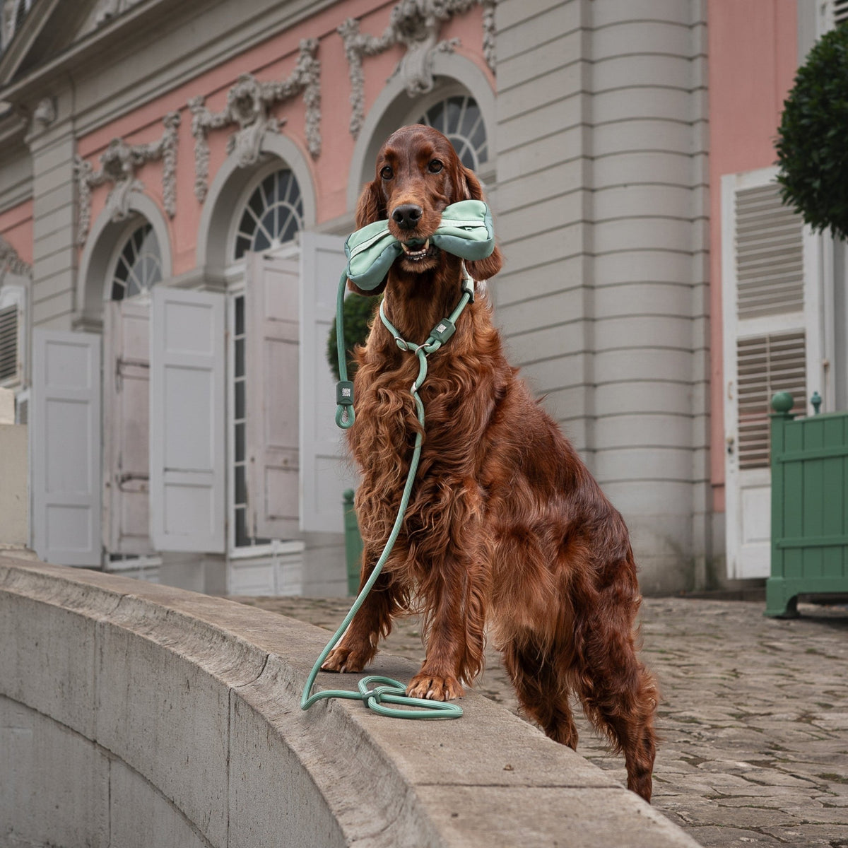 Retriever Rope Leash - Matrix 2.0 Jade