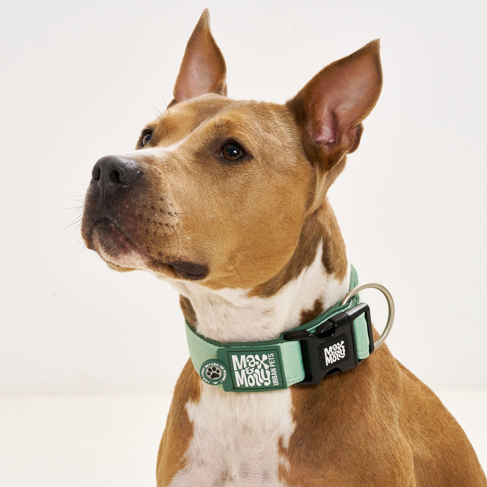 Smart ID Wide Collar - Matrix 2.0 Jade