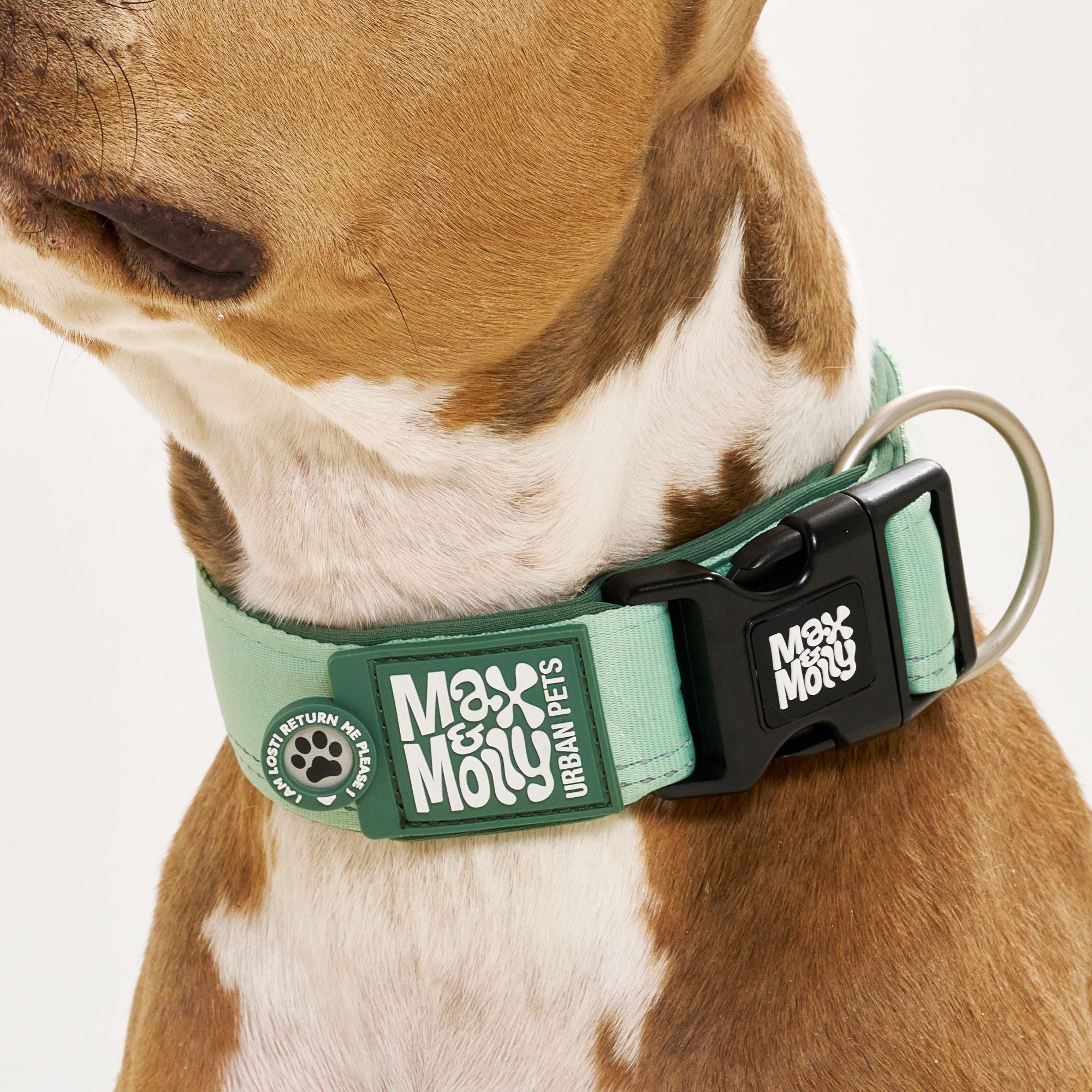 Smart ID Wide Collar - Matrix 2.0 Jade