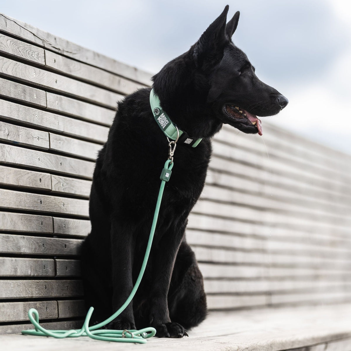 Gotcha! Smart ID Wide Collar - Matrix 2.0 Jade