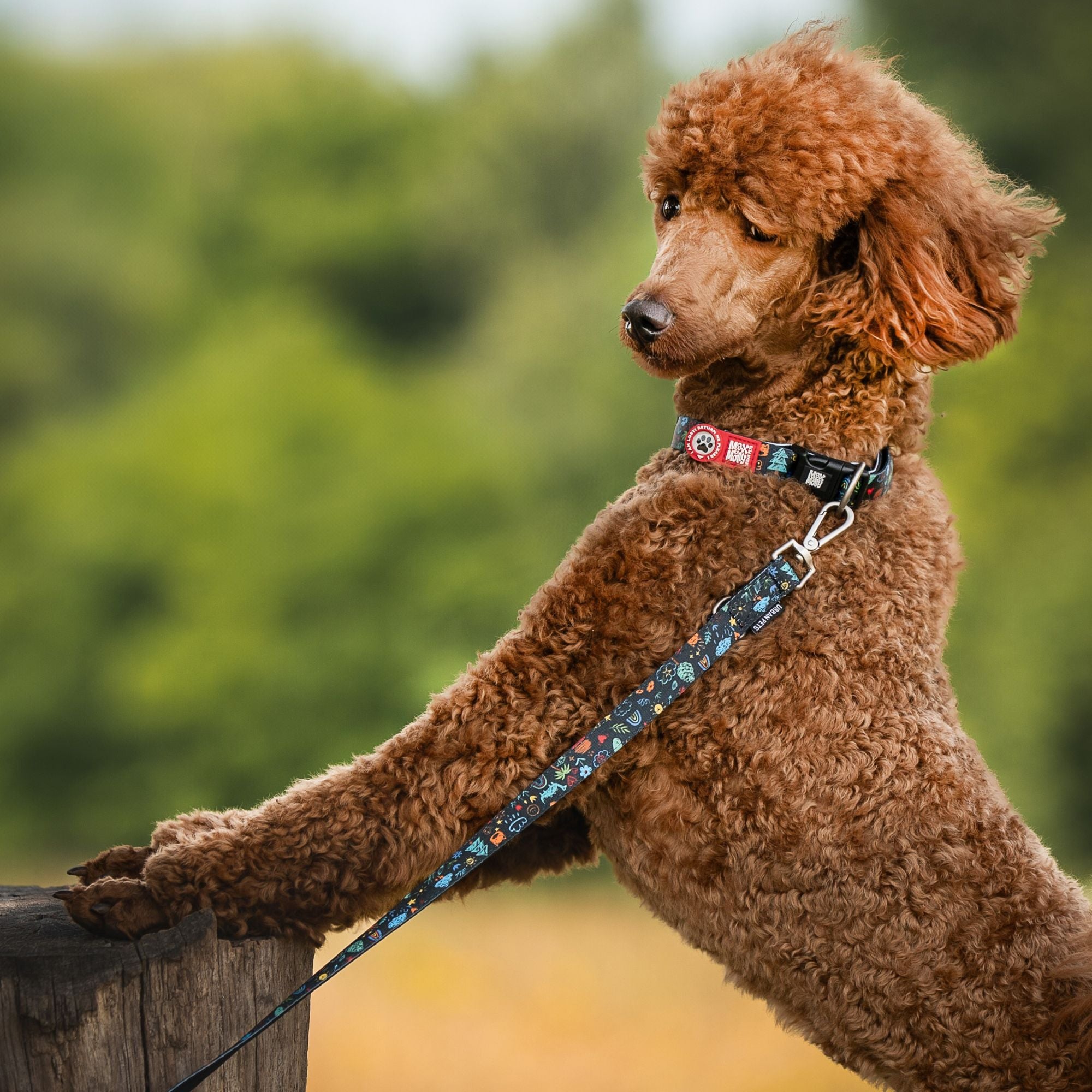 Kurzleine - Kindergarten