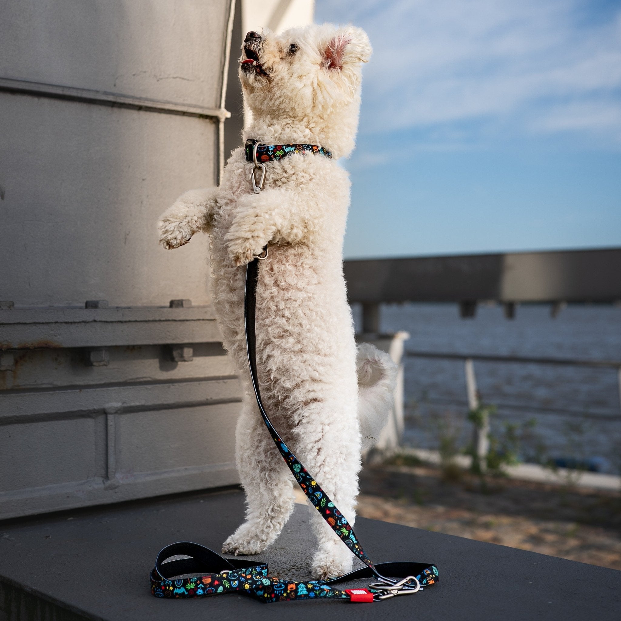 Multi Function Leash - Kindergarten