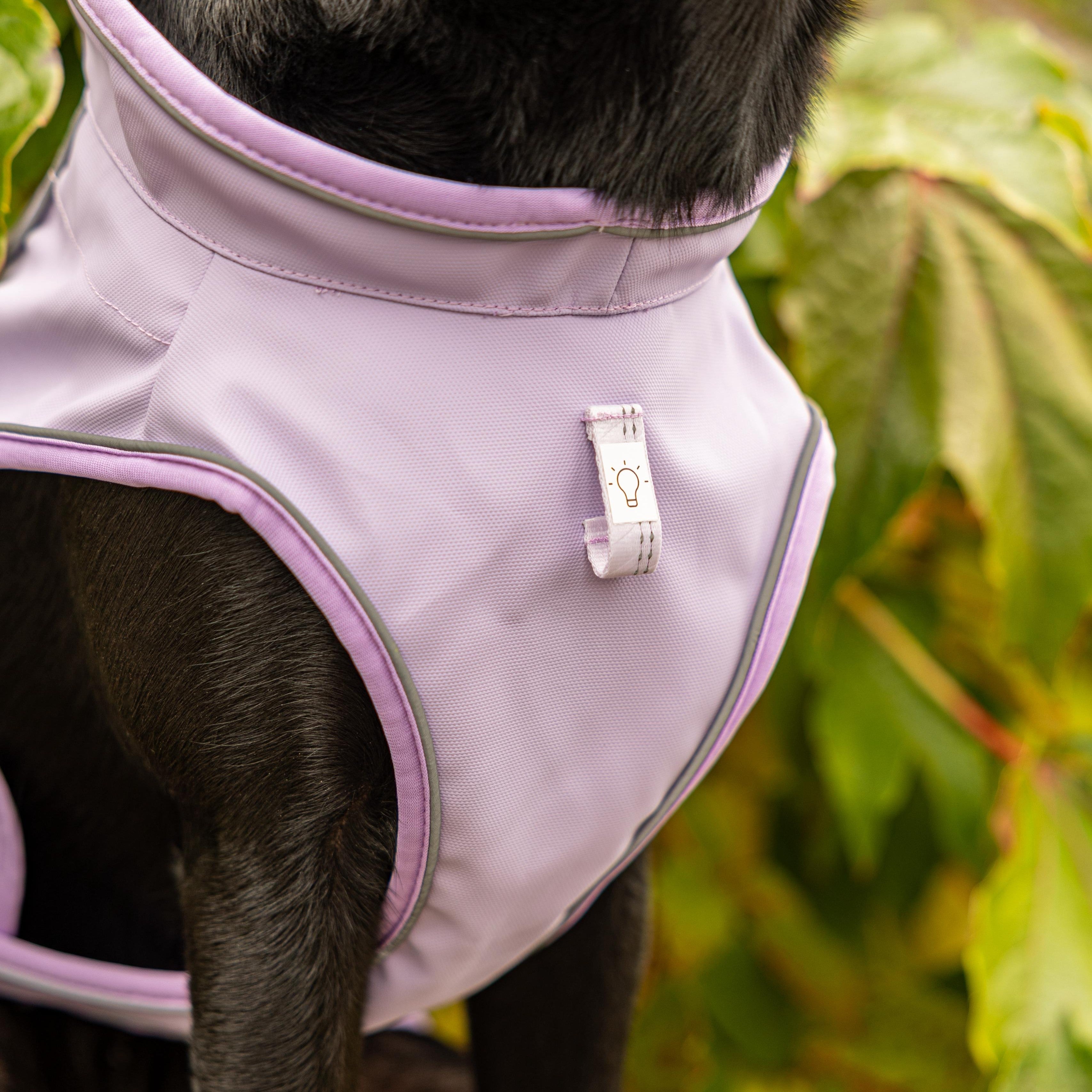 Regenmantel für Hunde - Matrix 2.0 Lavendel