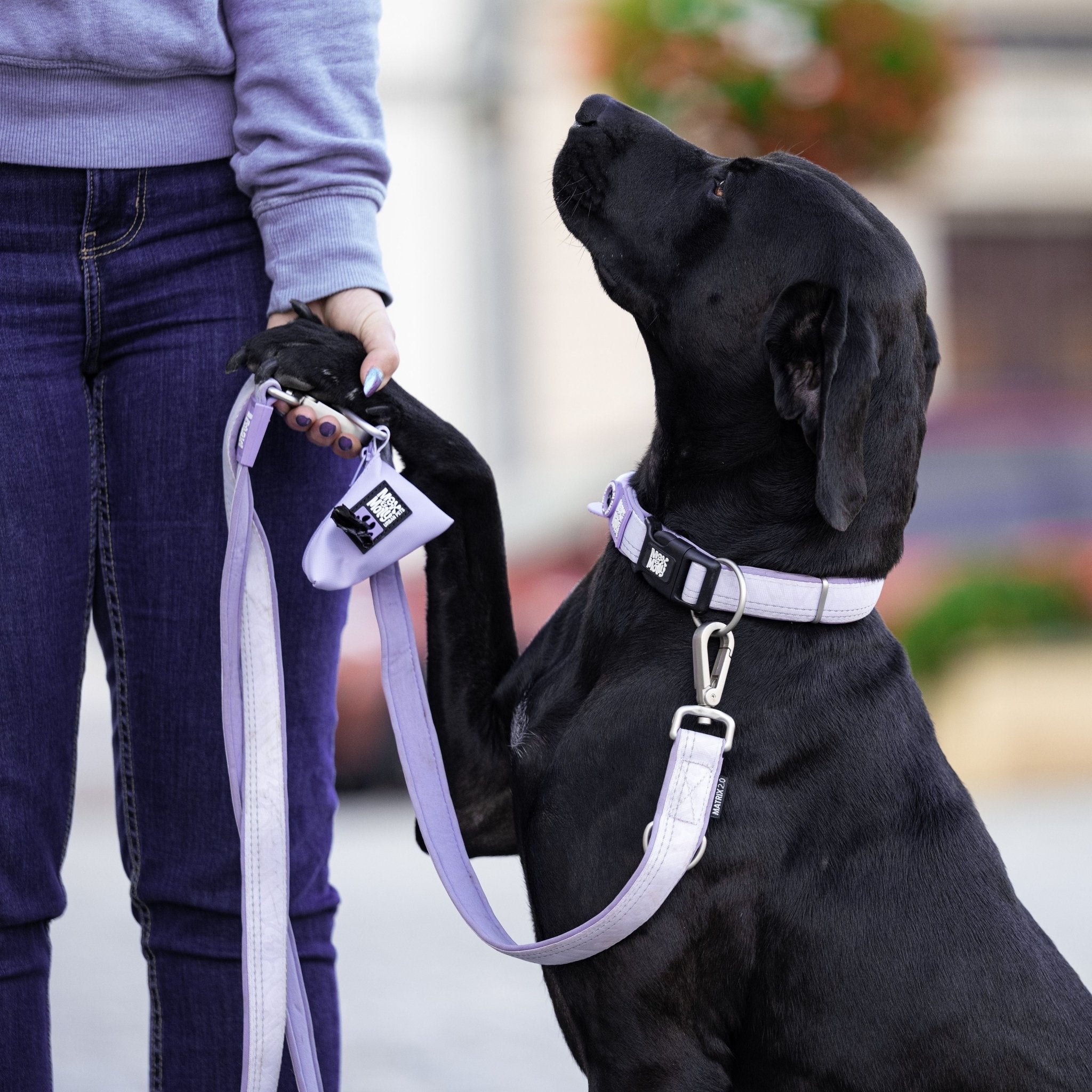 GOTCHA! Smart ID Halsband - Matrix 2.0 Lavendel