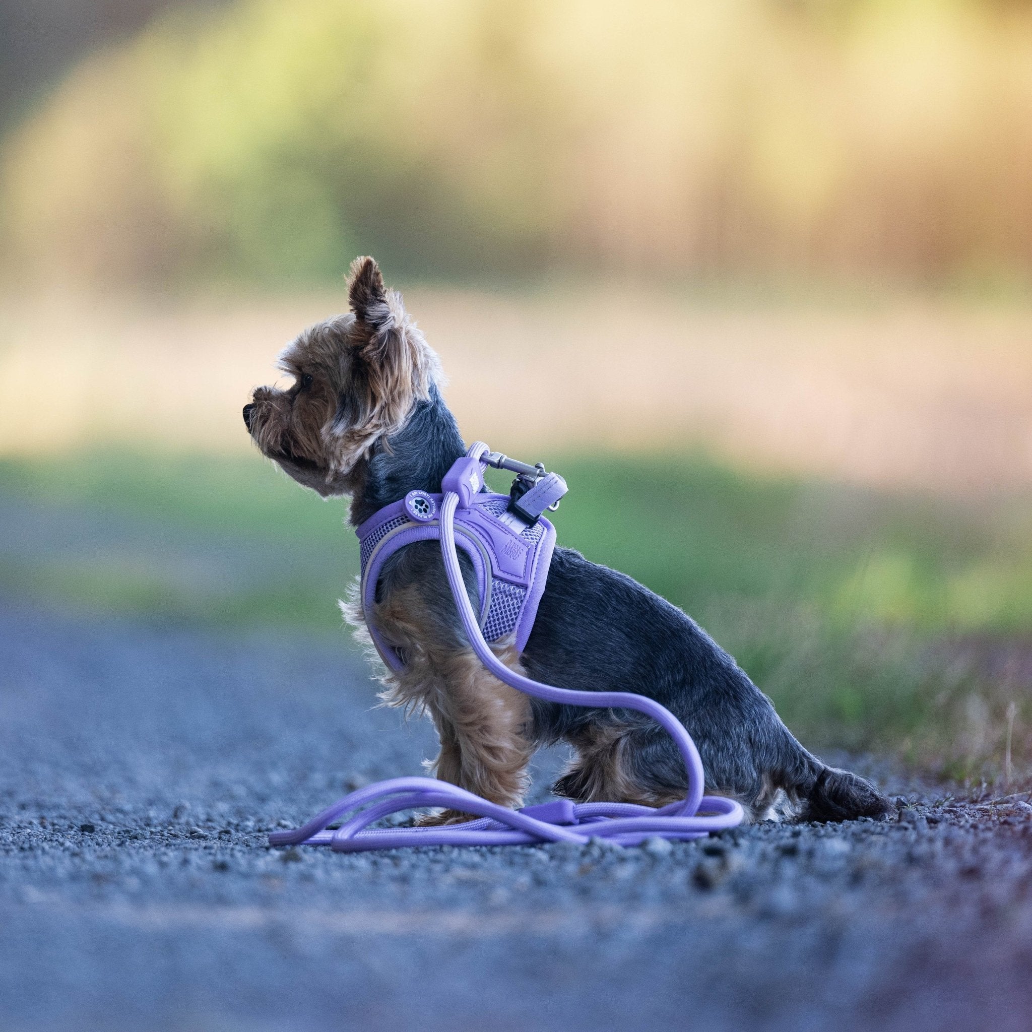 Air Vest Hunde Geschirr - Matrix 2.0 Lavender