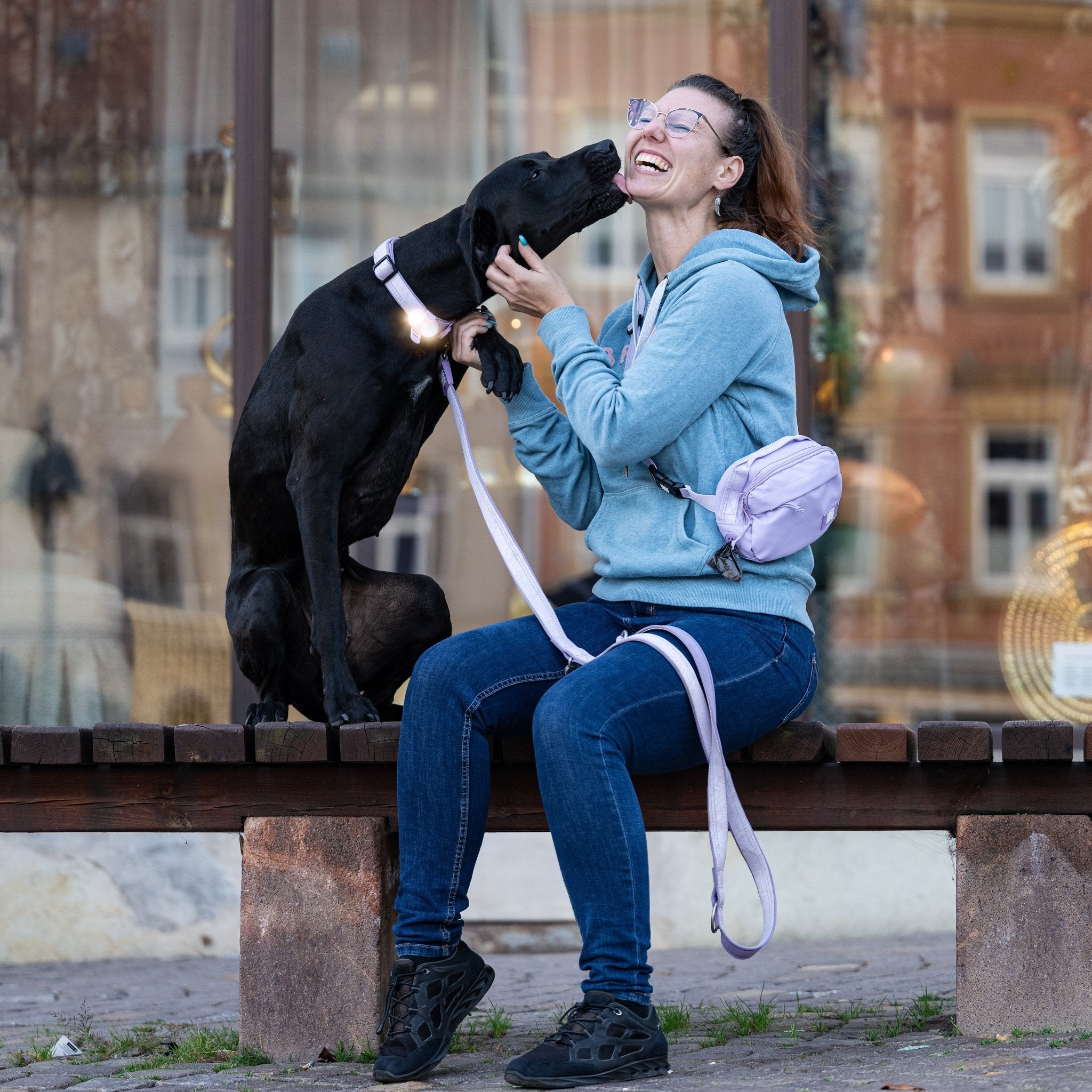 Multifunctional Leash - Matrix 2.0 Lavender