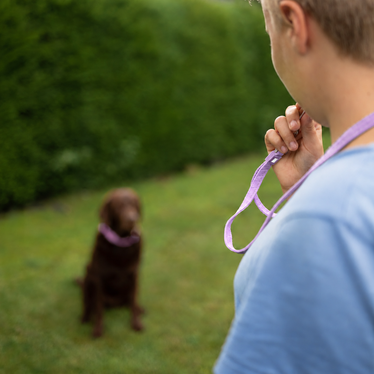 Dog Whistle Lanyard - Matrix 2.0 Lavender