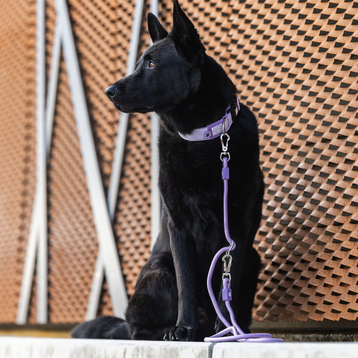 Gotcha! Smart ID Breites Halsband - Matrix 2.0 Lavendel