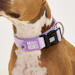 Smart ID Wide Collar - Matrix 2.0 Lavender