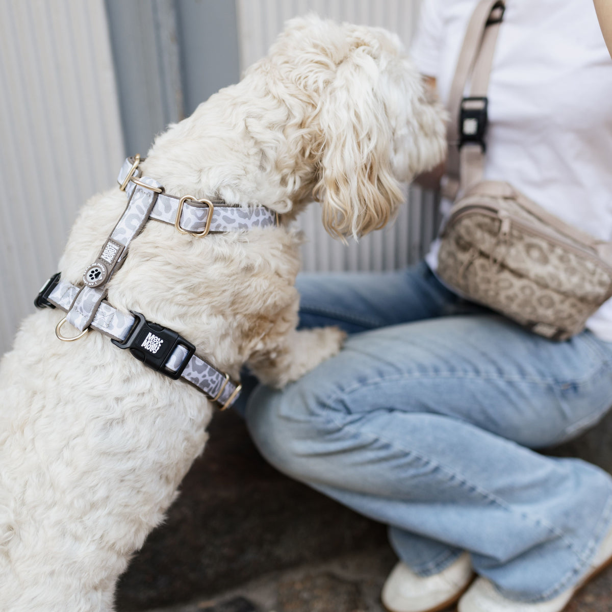 Gotcha! Smart ID Comfort H-Harness - Leo Beige