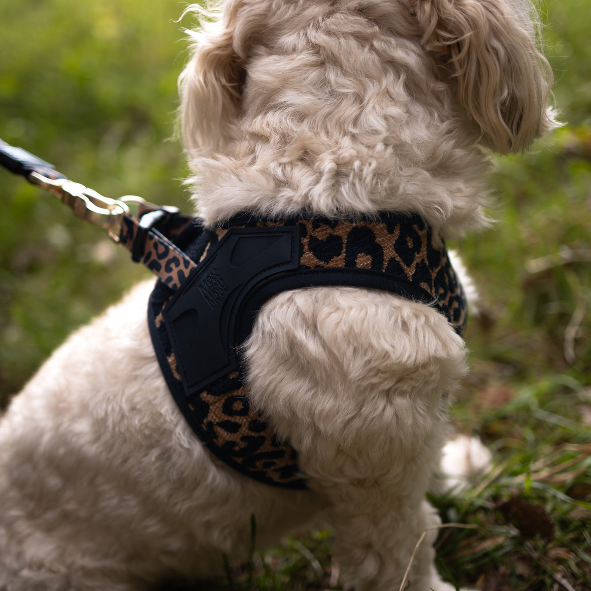 Air Vest Dog Harness - Leo Brown