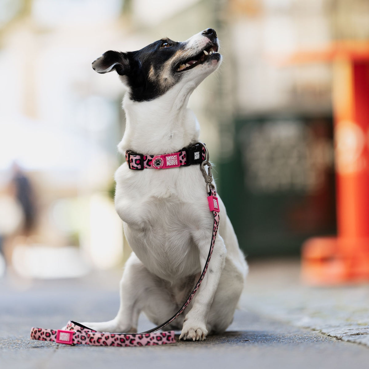 Gotcha! Smart ID Hunde Halsband - Leopard Pink II