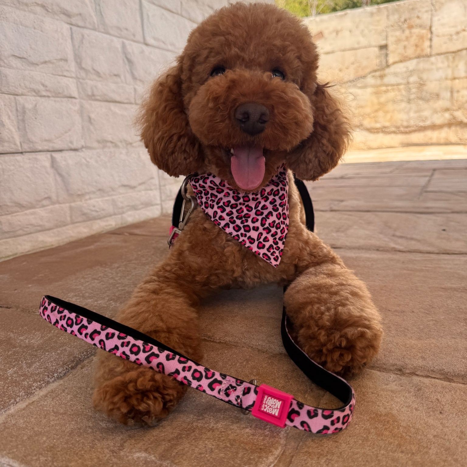 Short Leash - Leopard Pink