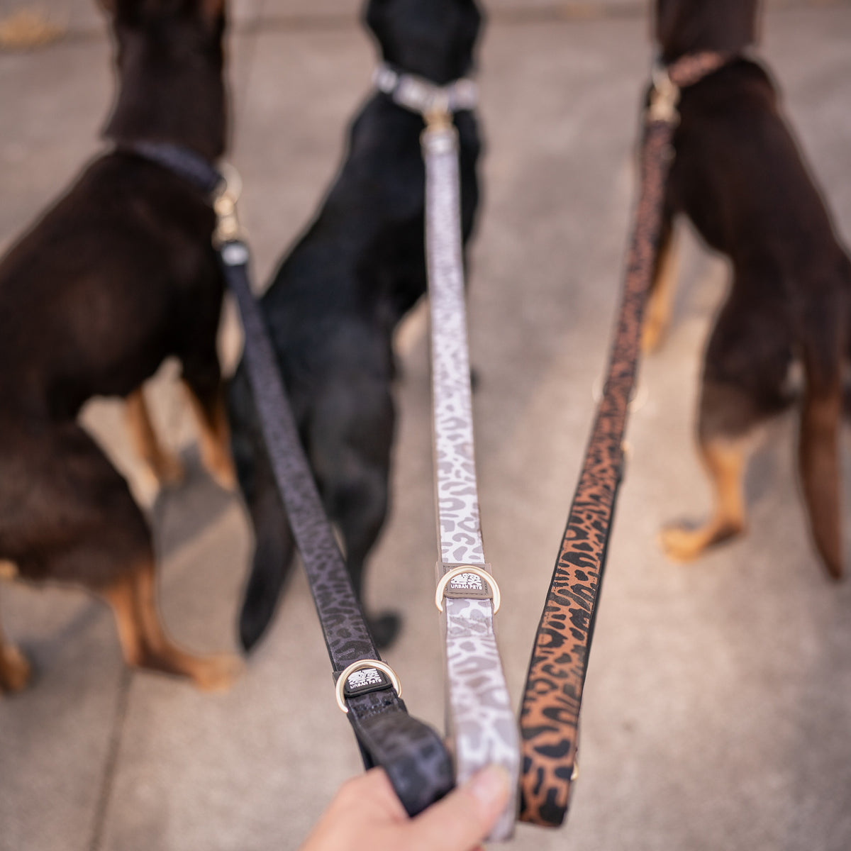 Multi-Function Dog Leash - Leo Brown
