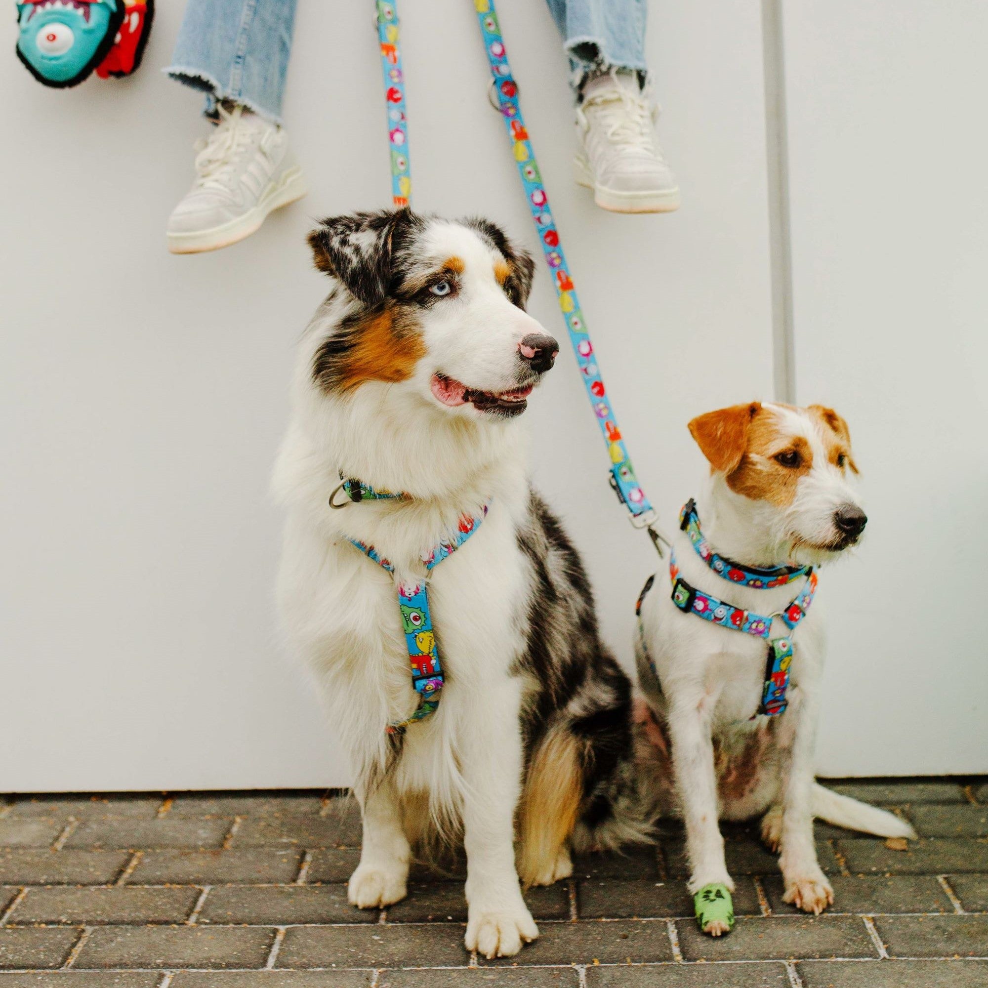H-Harness - Little Monsters – Max & Molly Urban Pets