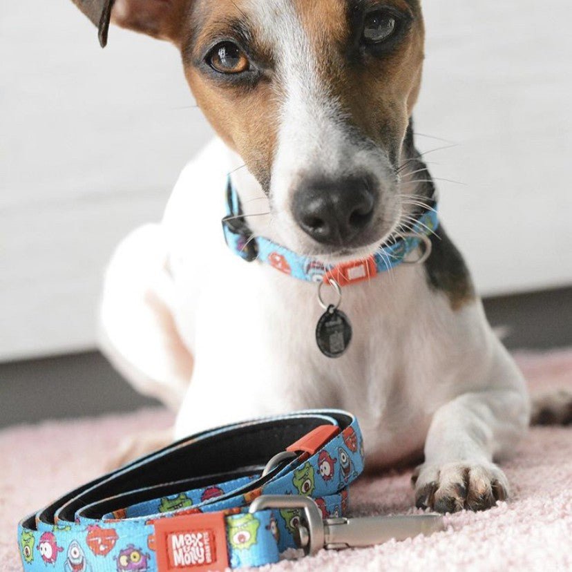 GOTCHA! Smart ID Collar - Little Monsters
