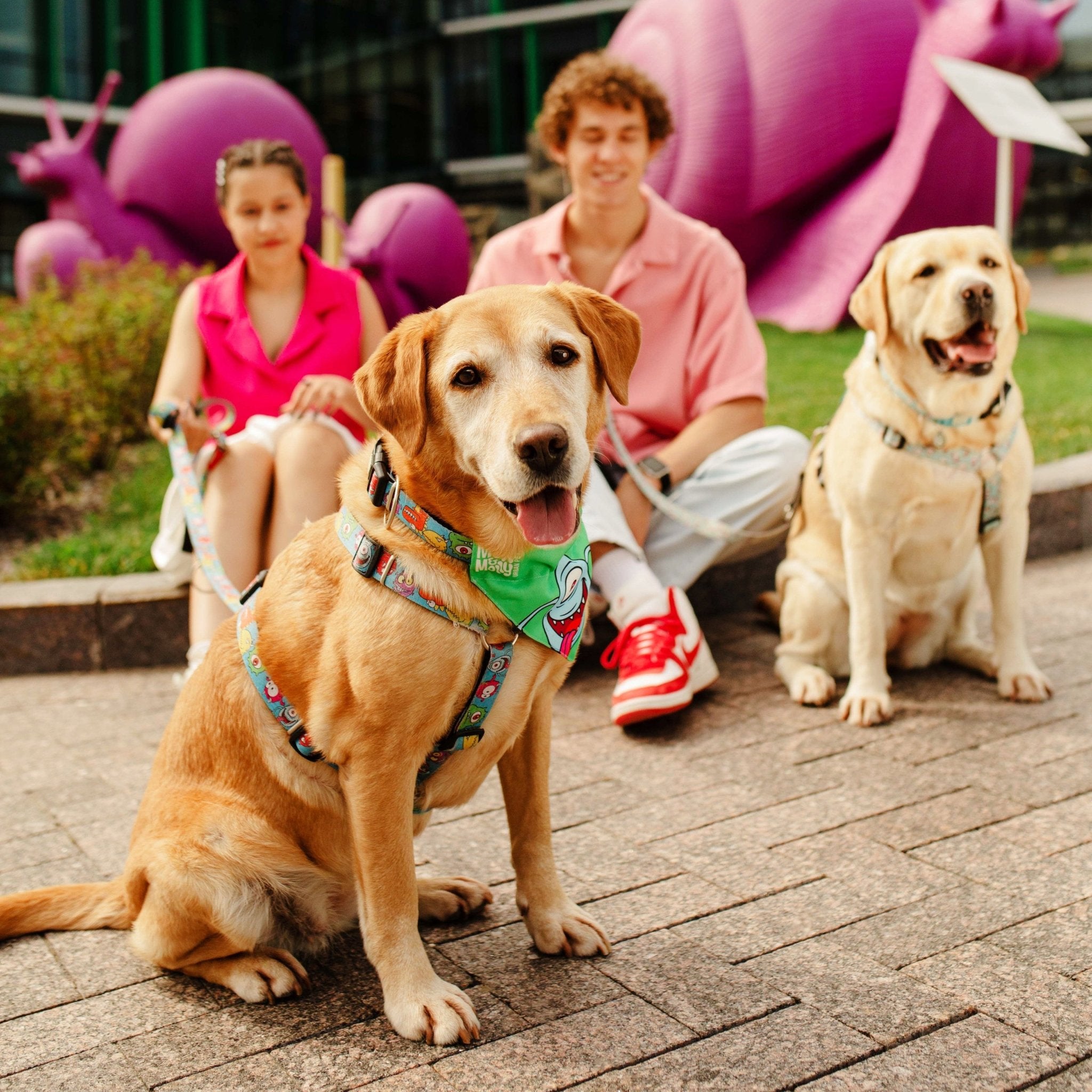 H-Harness - Little Monsters – Max & Molly Urban Pets