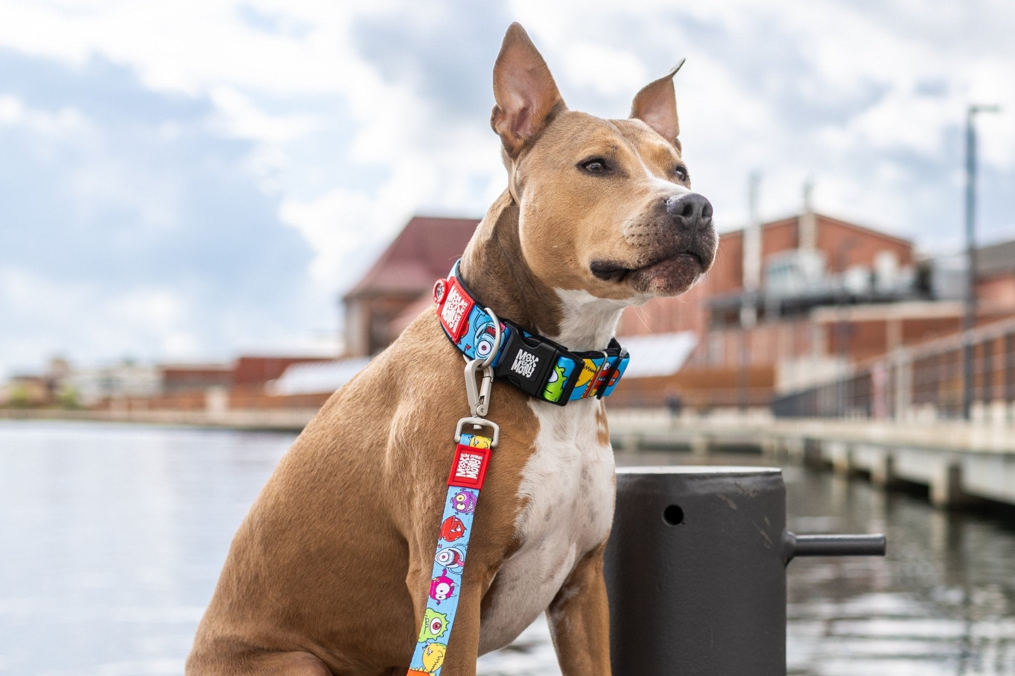 Gotcha! Smart ID Wide Dog Collar - Little Monsters – Max & Molly