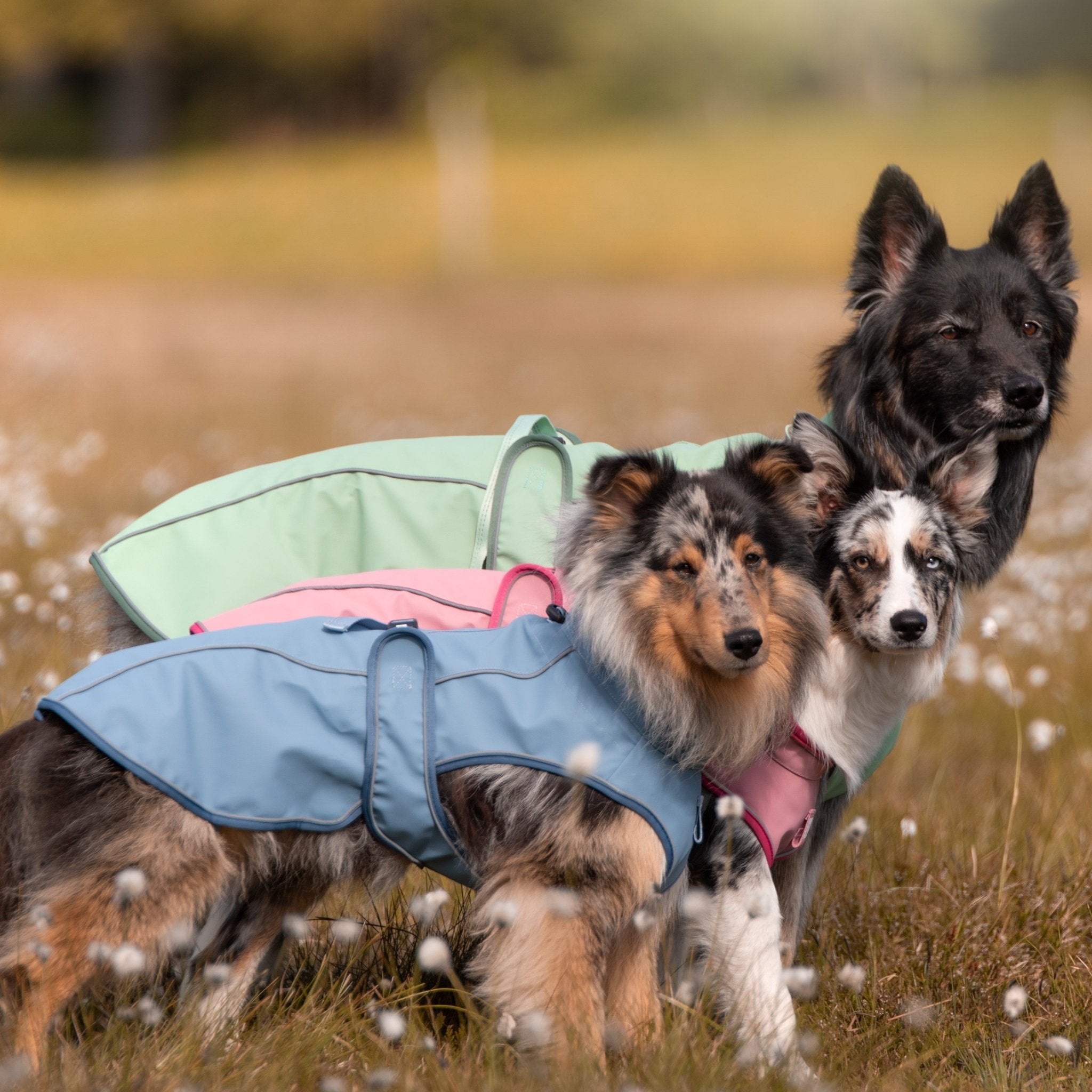 Regenmantel für Hunde - MATRIX 2.0 JADE